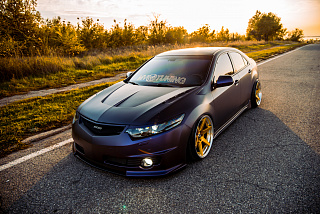 Крыло (правое) Honda Accord 8 (VIII) / Acura TSX (CU/CW) (2008-2013)